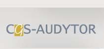 CGS Audytor